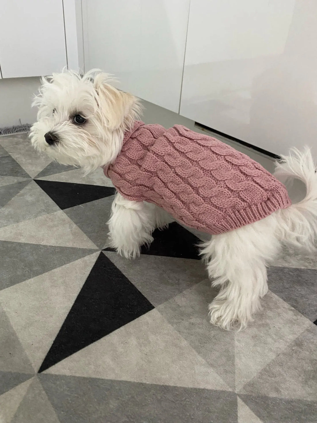 Knitted Clothes For Dogs Chihuahua