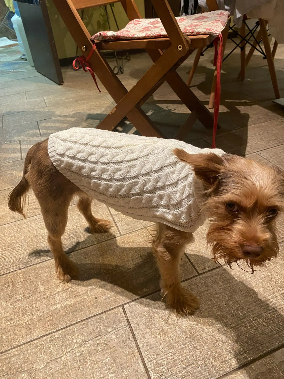 Knitted Clothes For Dogs Chihuahua