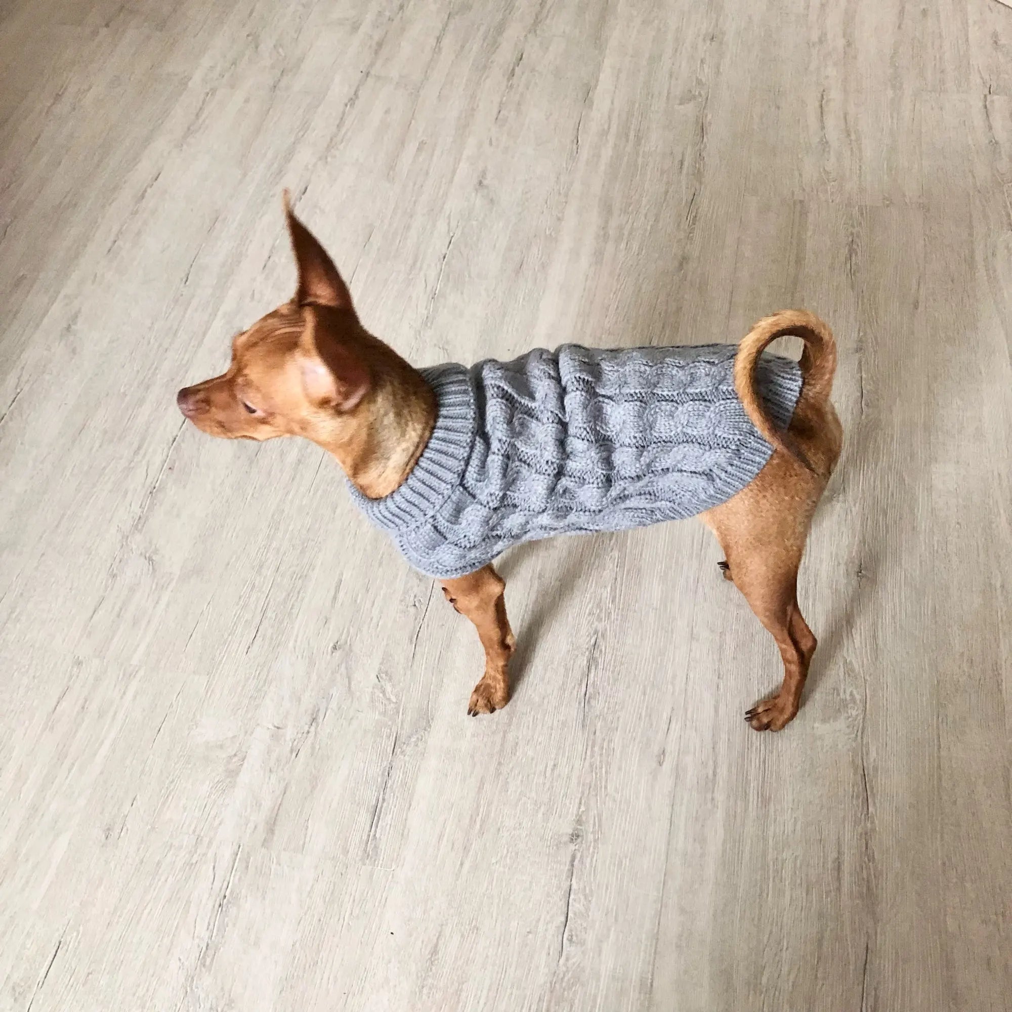 Knitted Clothes For Dogs Chihuahua