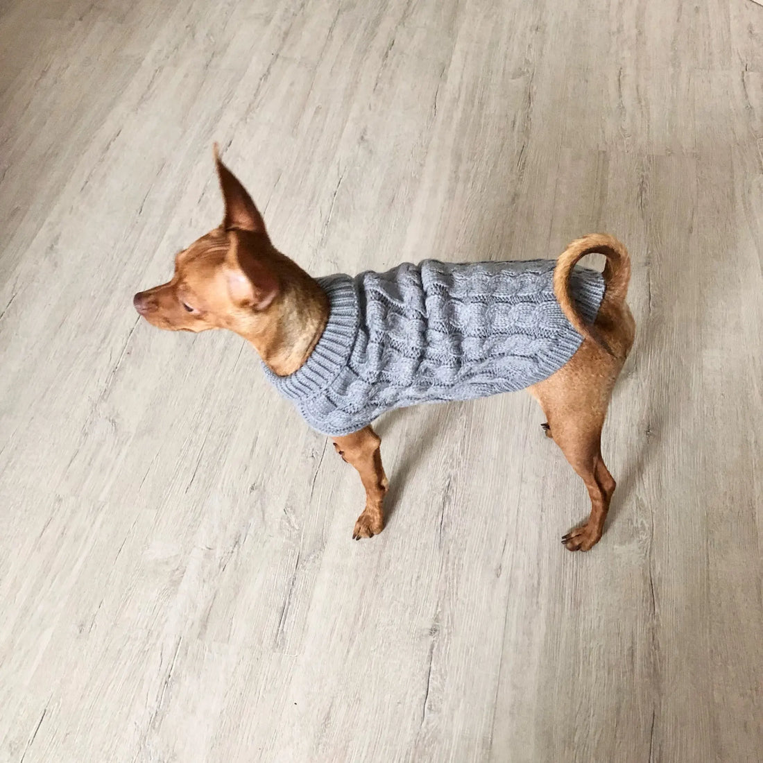 Knitted Clothes For Dogs Chihuahua