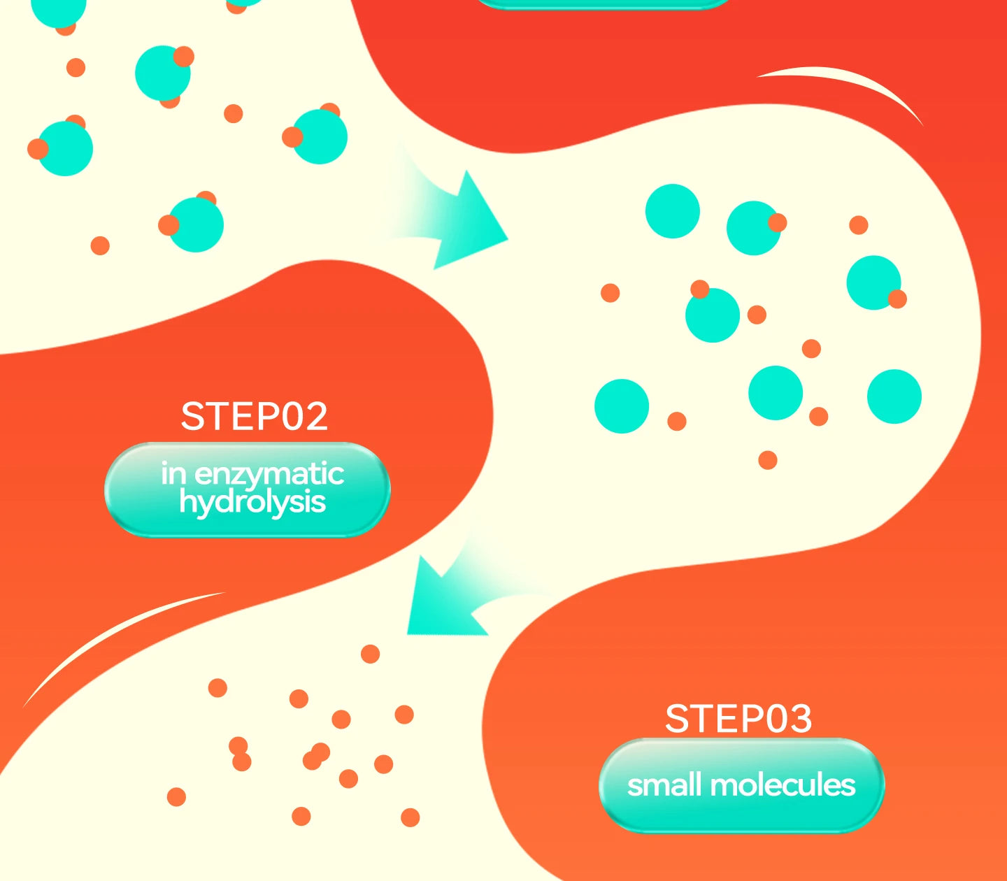 chanbuni Grain-Free Probiotic