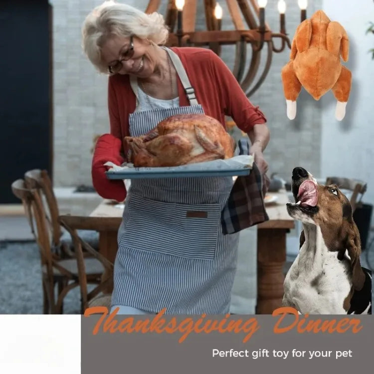 Thanksgiving Interactive