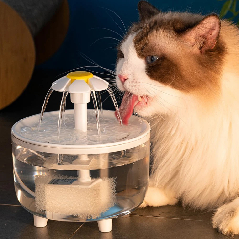 Pet Water Fountain Automatic