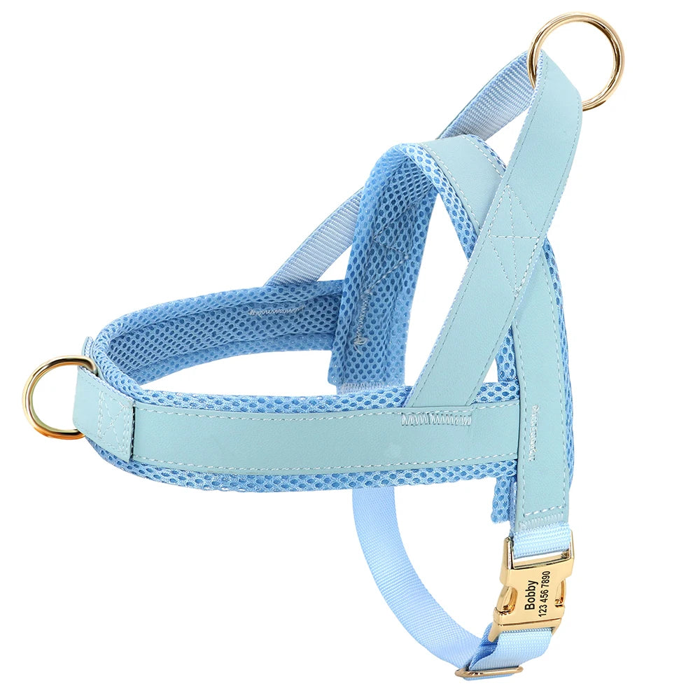 Personalized Large Dog Harness