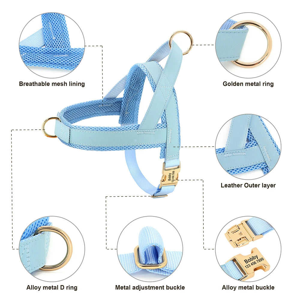 Personalized Large Dog Harness