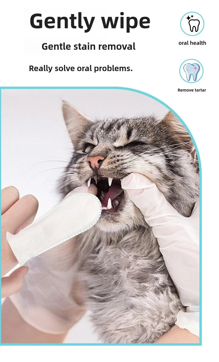 Pet Teeth Cleaning Products
