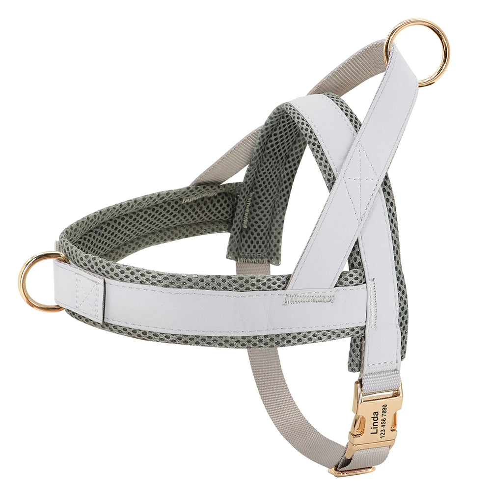 Personalized Large Dog Harness