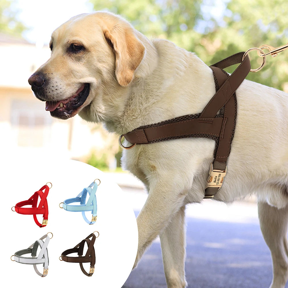 Personalized Large Dog Harness