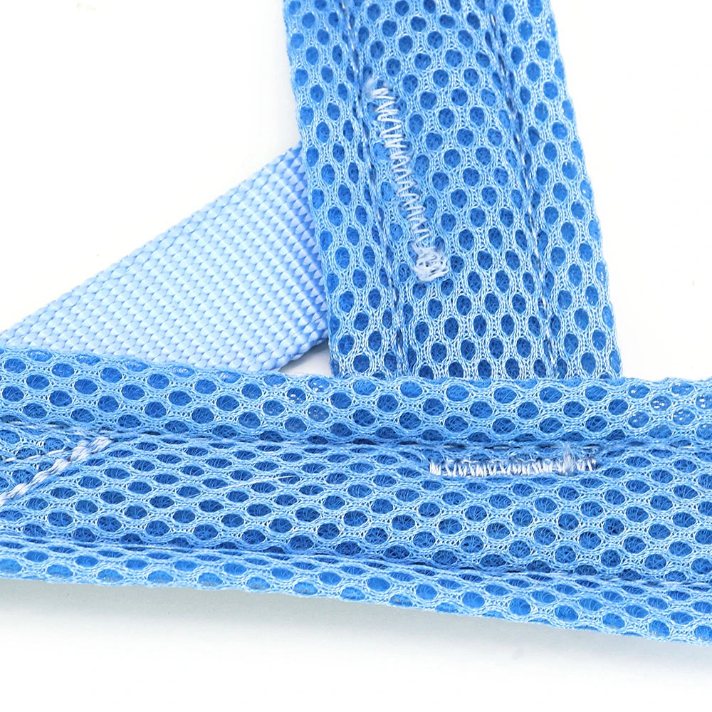 Personalized Large Dog Harness