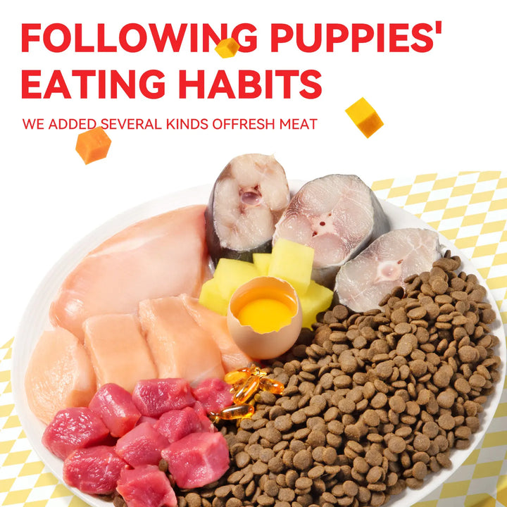 chanbuni Grain-Free Probiotic