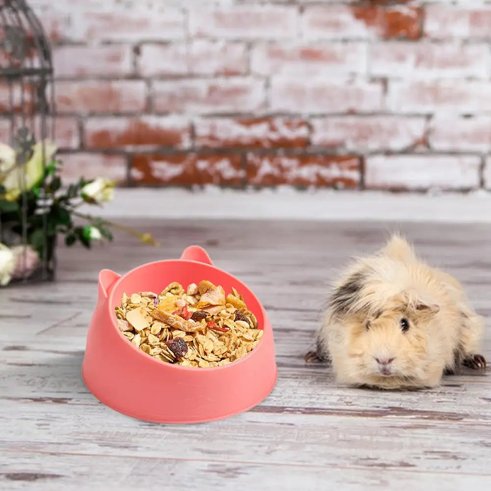 Hamster Feeding Bowl Hamster