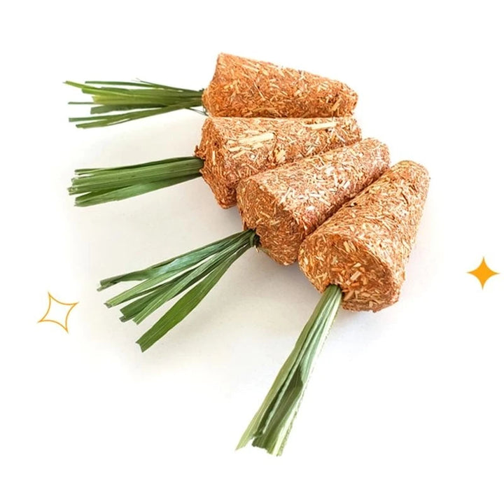 Bunny Chew Toy for Teething