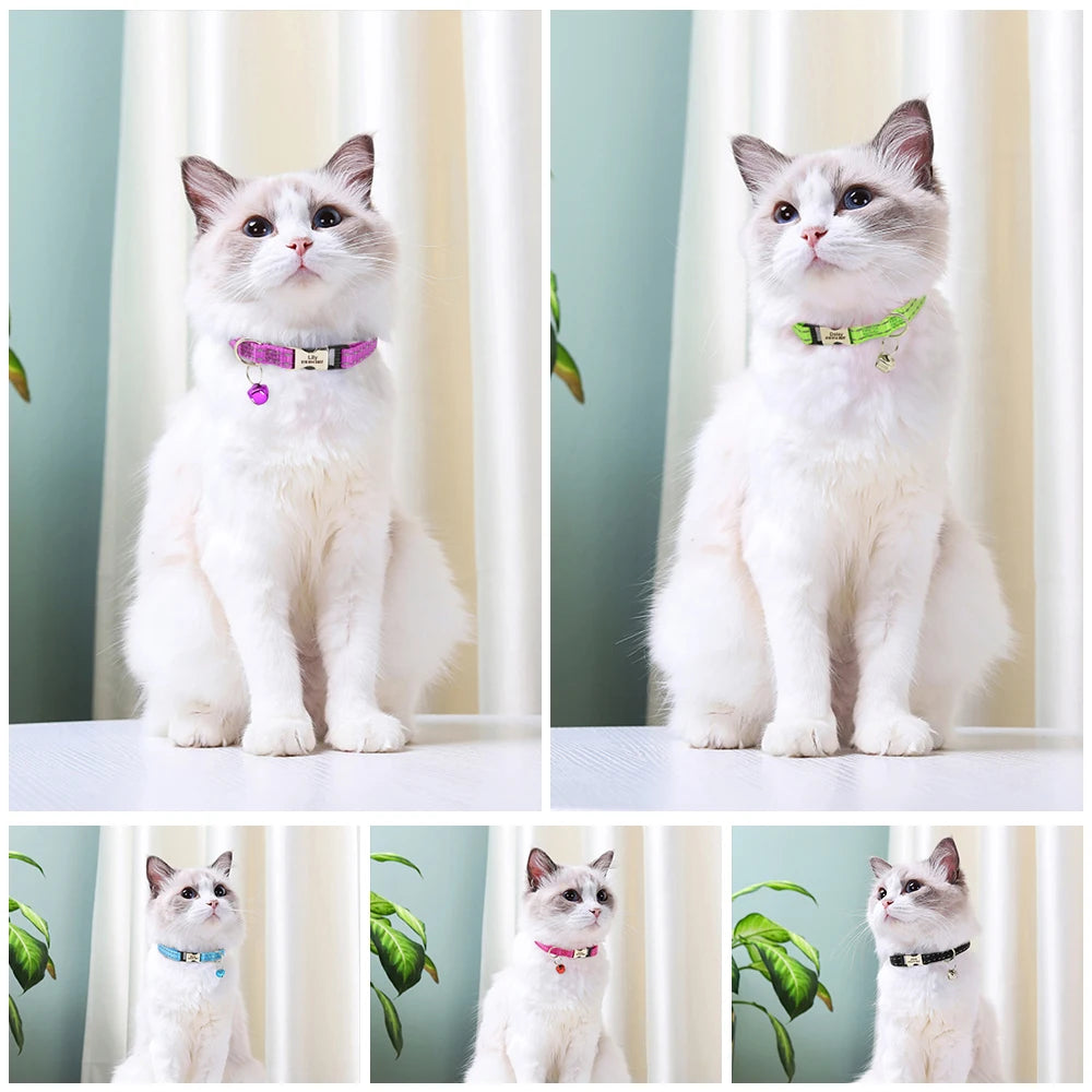 Personalized Cat Collar Reflective