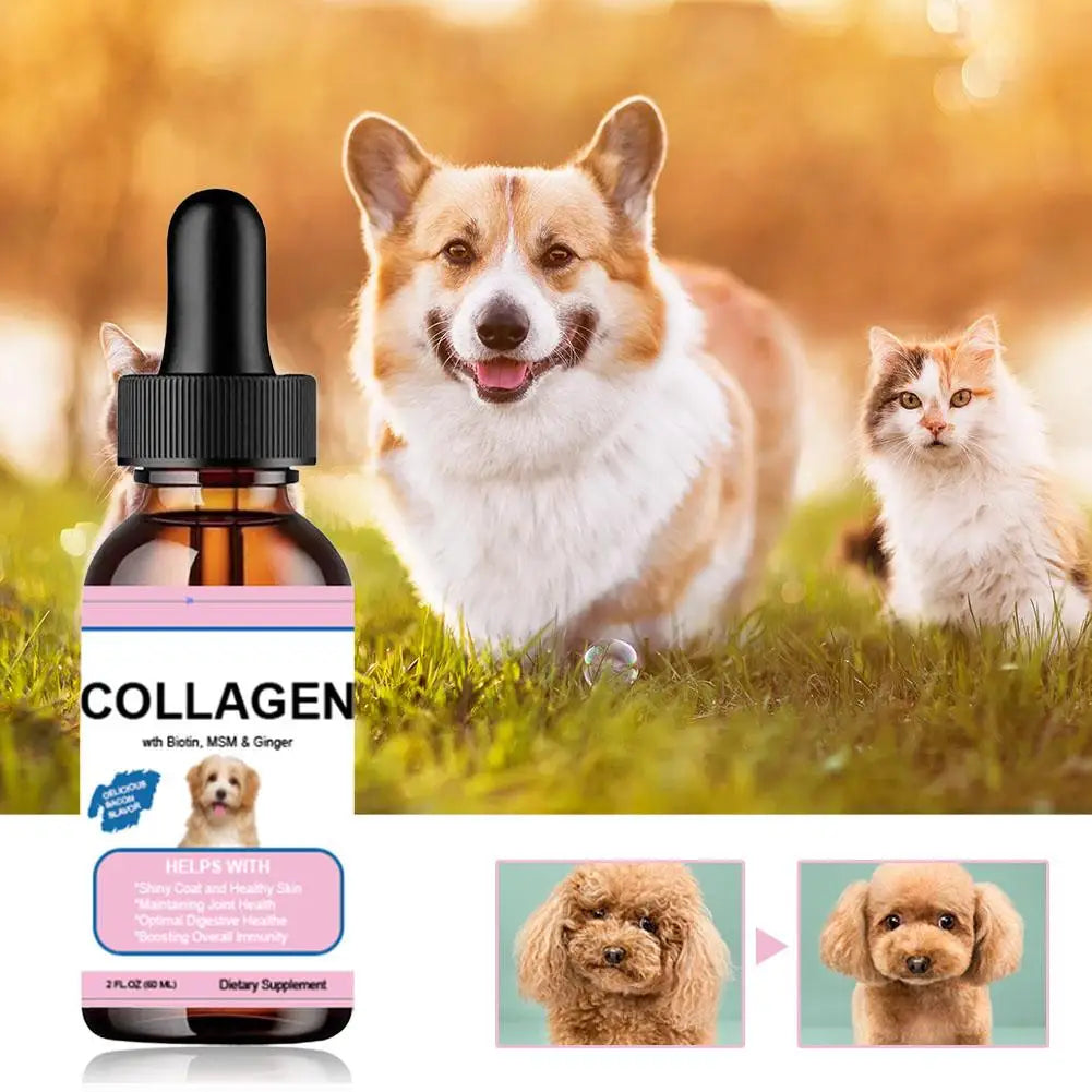 Pet Collagen Drops For Dogs