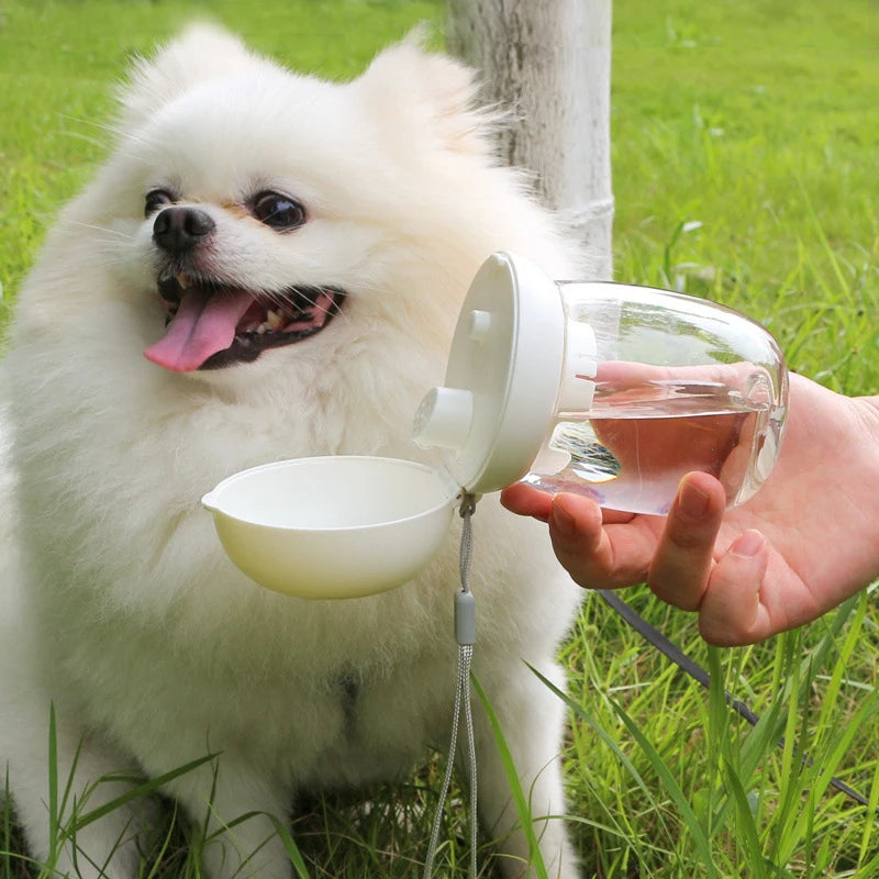 Portable Pet Water Bottle Outdoor