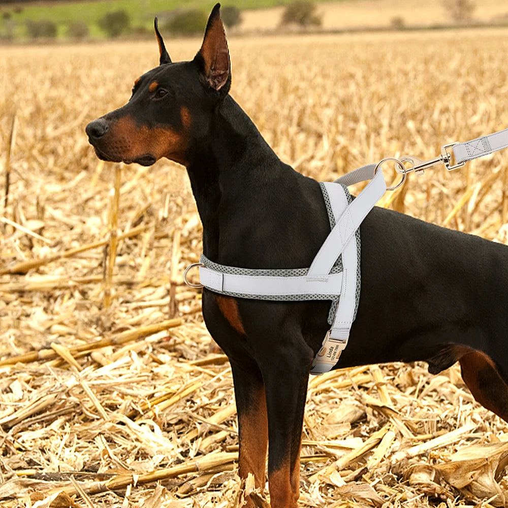 Personalized Large Dog Harness