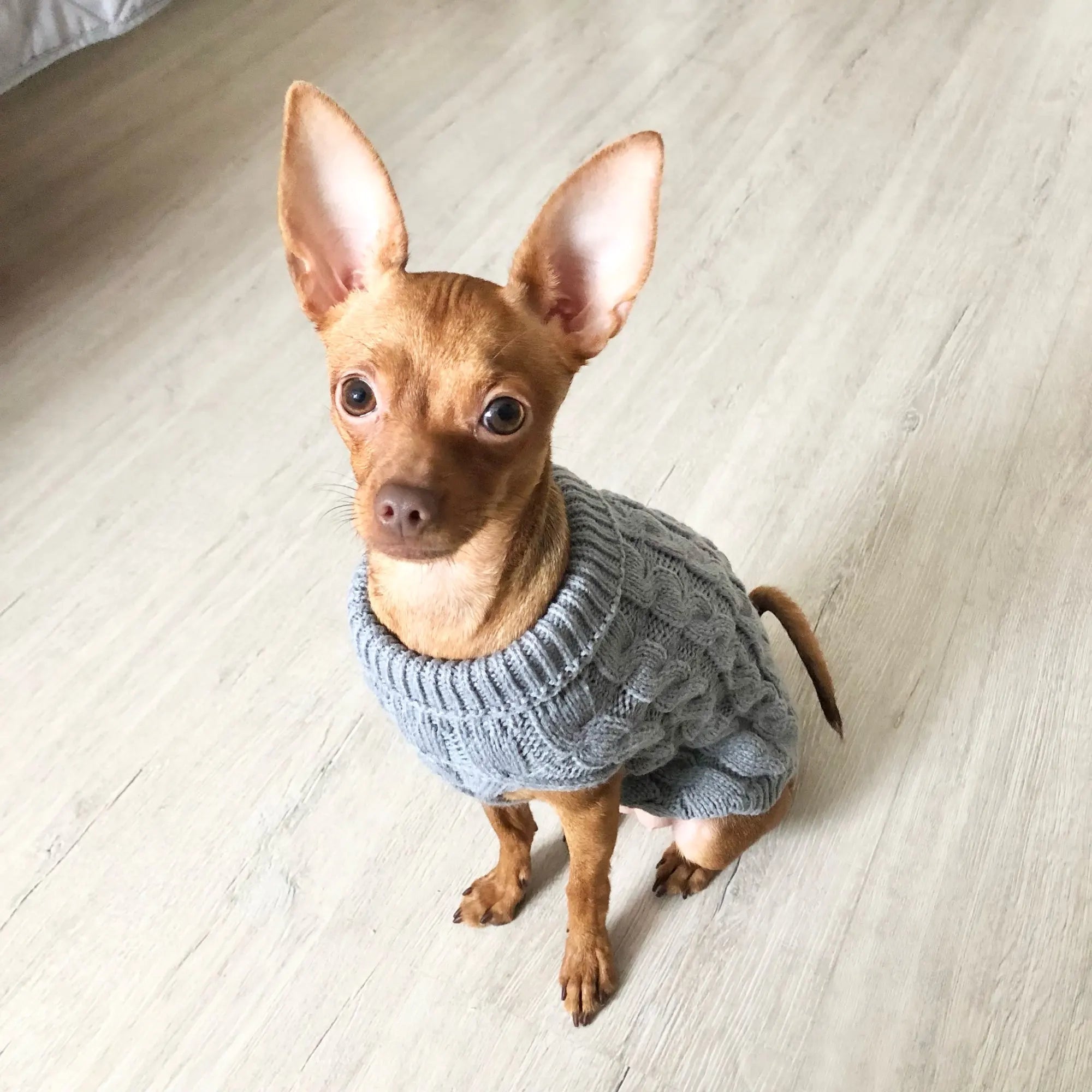 Knitted Clothes For Dogs Chihuahua