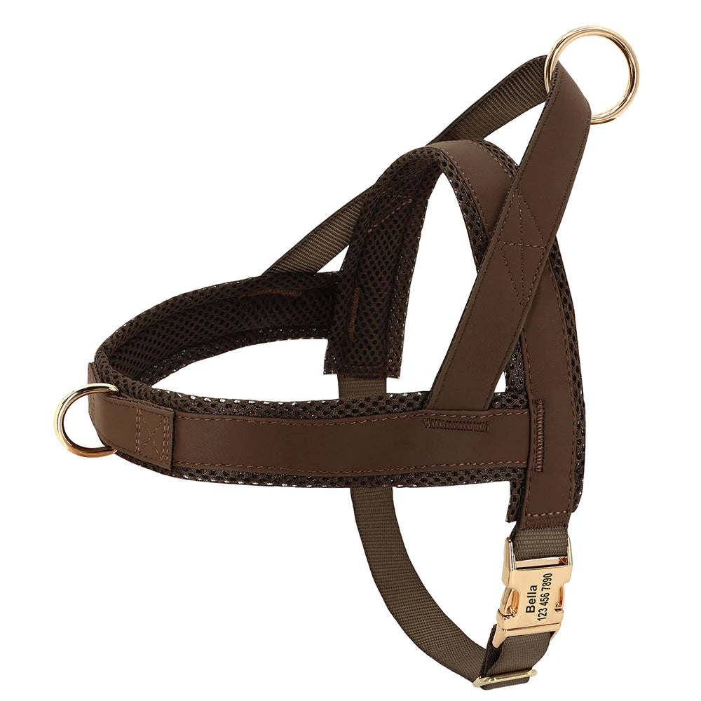Personalized Large Dog Harness