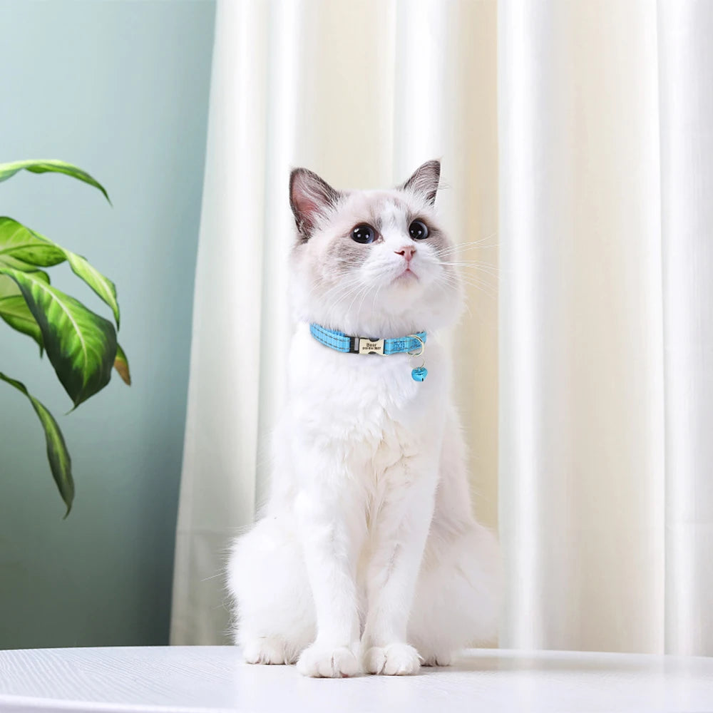 Personalized Cat Collar Reflective