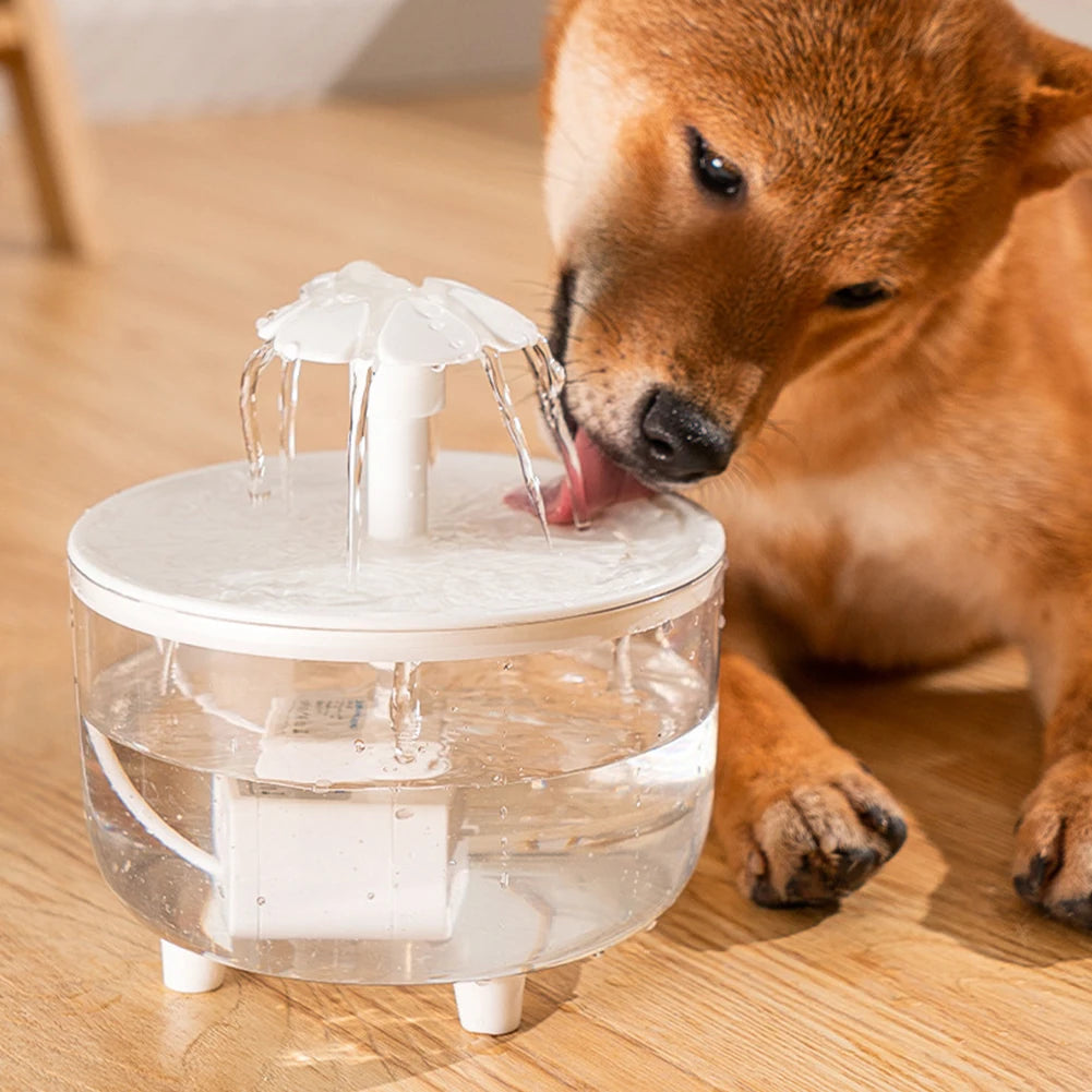 Pet Water Fountain Automatic
