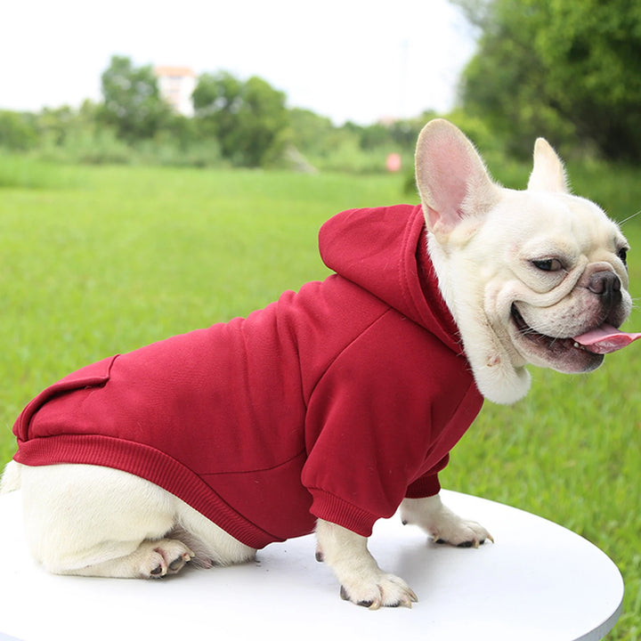 Fashion Dog Clothing Autumn