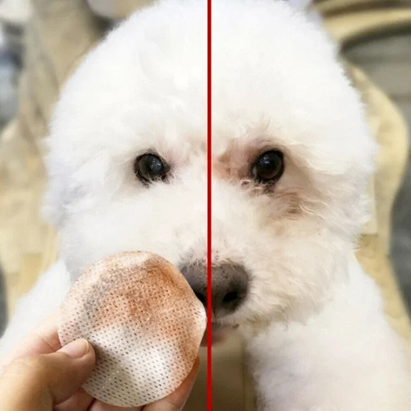 130 Pcs set of Dog and Cat Clean