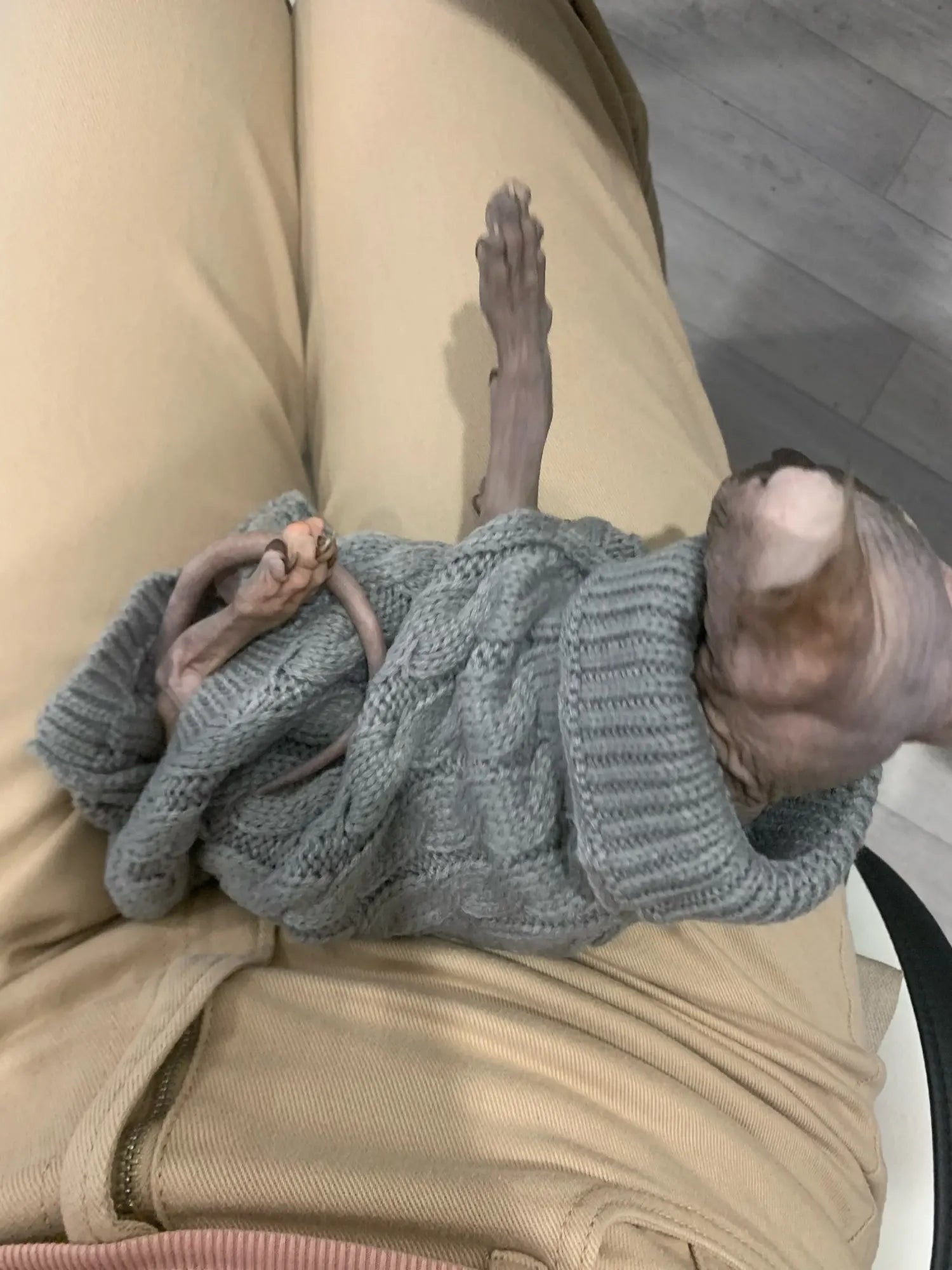 Knitted Clothes For Dogs Chihuahua