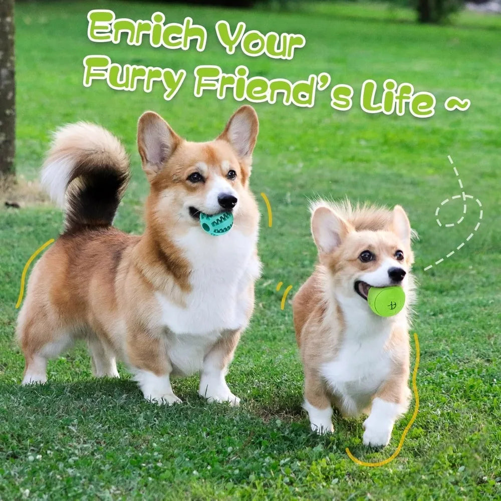 Interactive Dog Toys for Treat