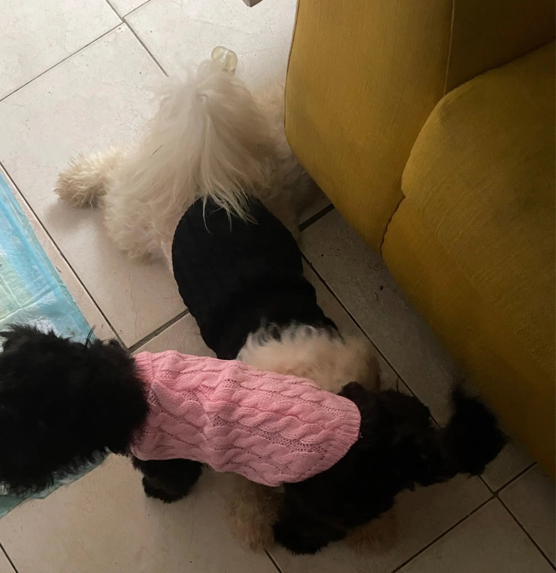 Knitted Clothes For Dogs Chihuahua