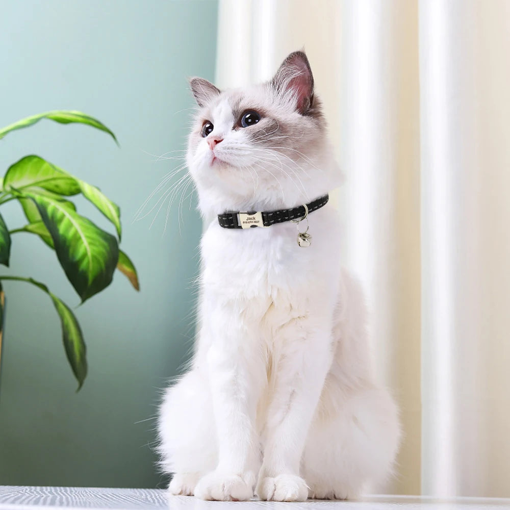 Personalized Cat Collar Reflective