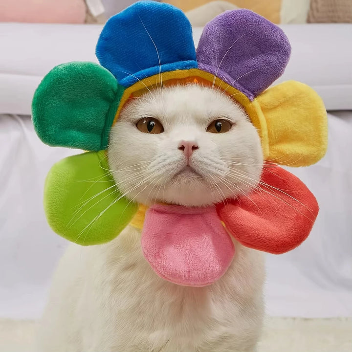 actices1Pcs Pet headgear cute dog