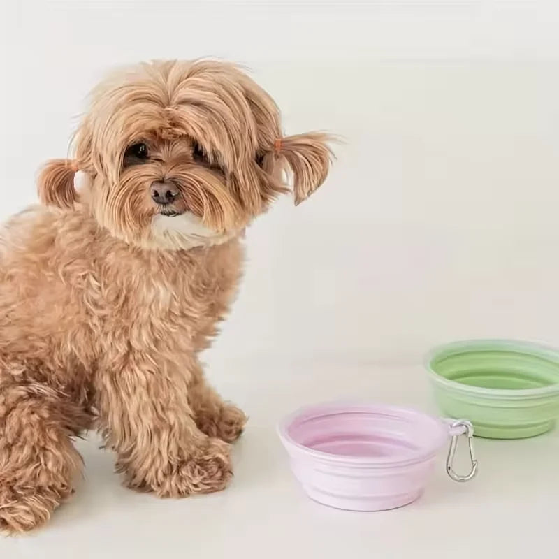 Foldable Silicone Dog Bowl Pet