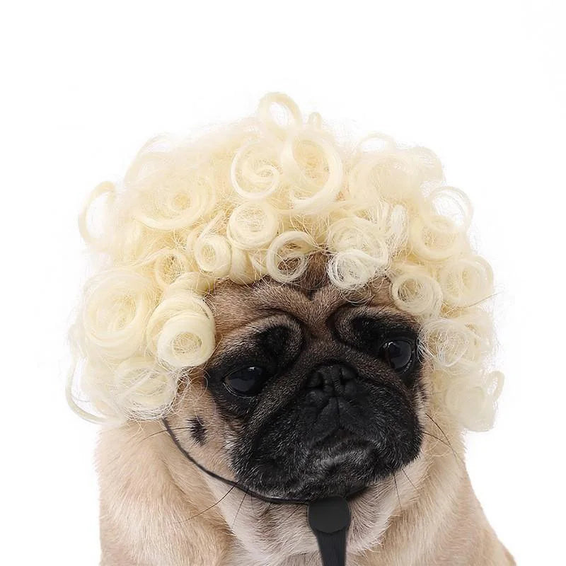 Pet Wig Dog And Cat Spoof Wig Pet