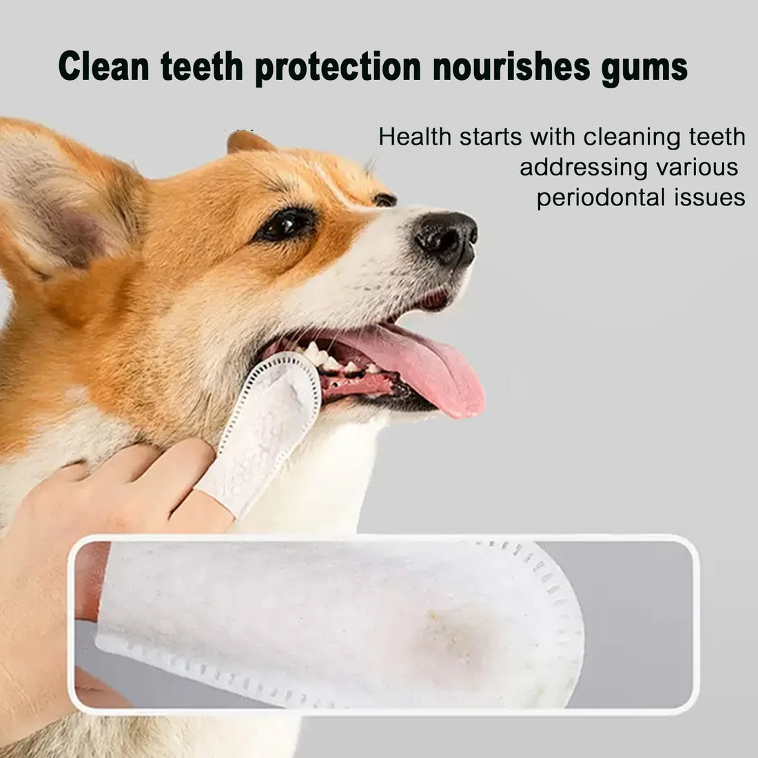 Pet Teeth Cleaning Products