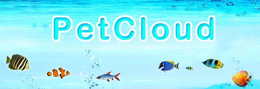 100g Tropical Ornamental Fish