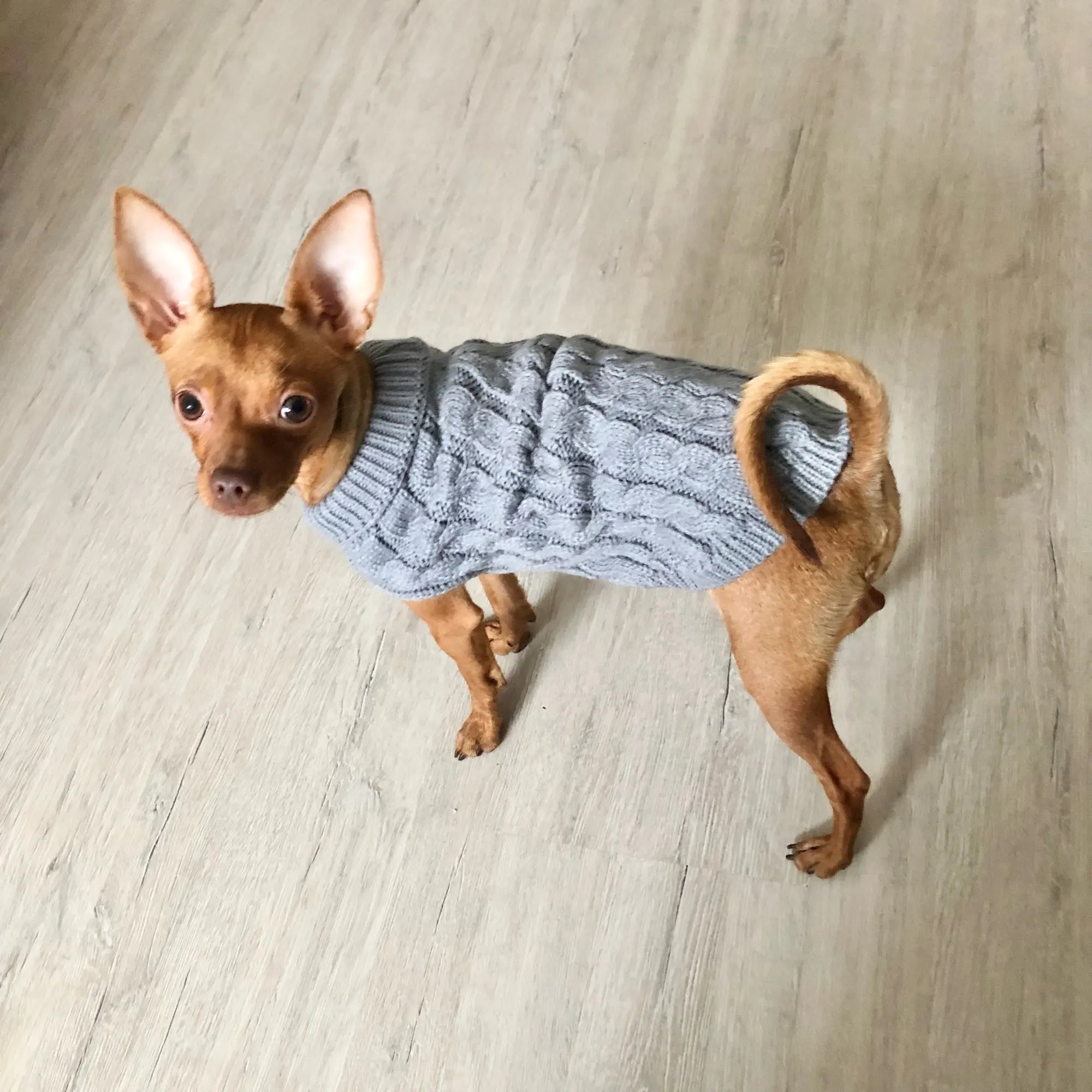 Knitted Clothes For Dogs Chihuahua