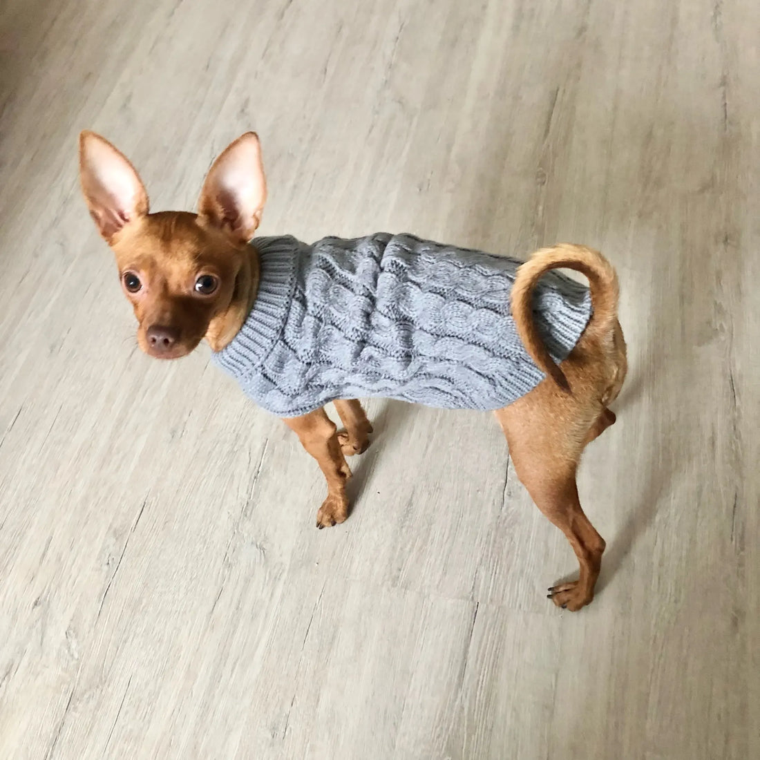 Knitted Clothes For Dogs Chihuahua