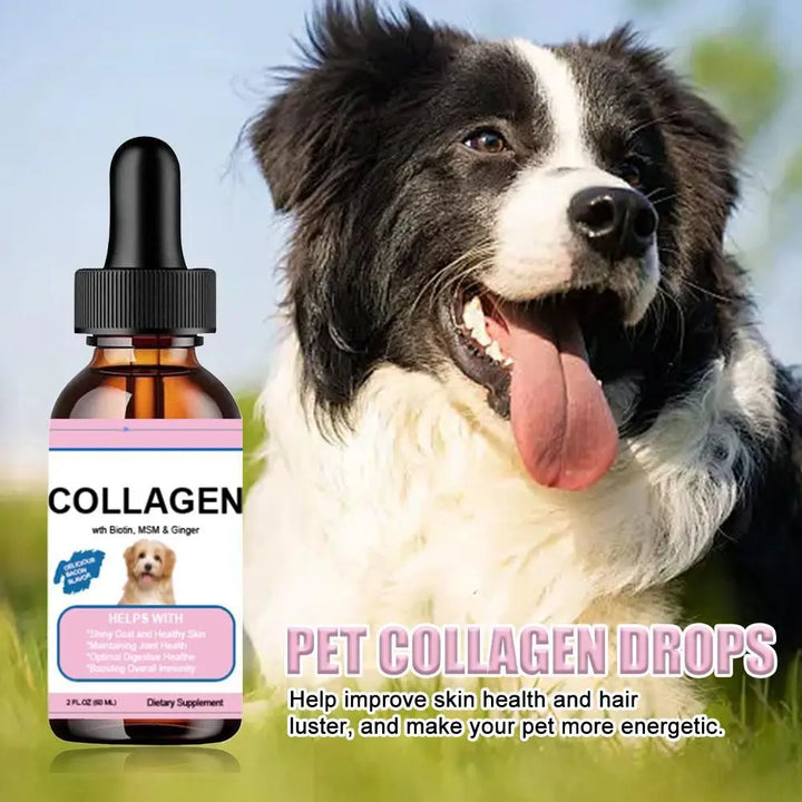 Pet Collagen Drops For Dogs