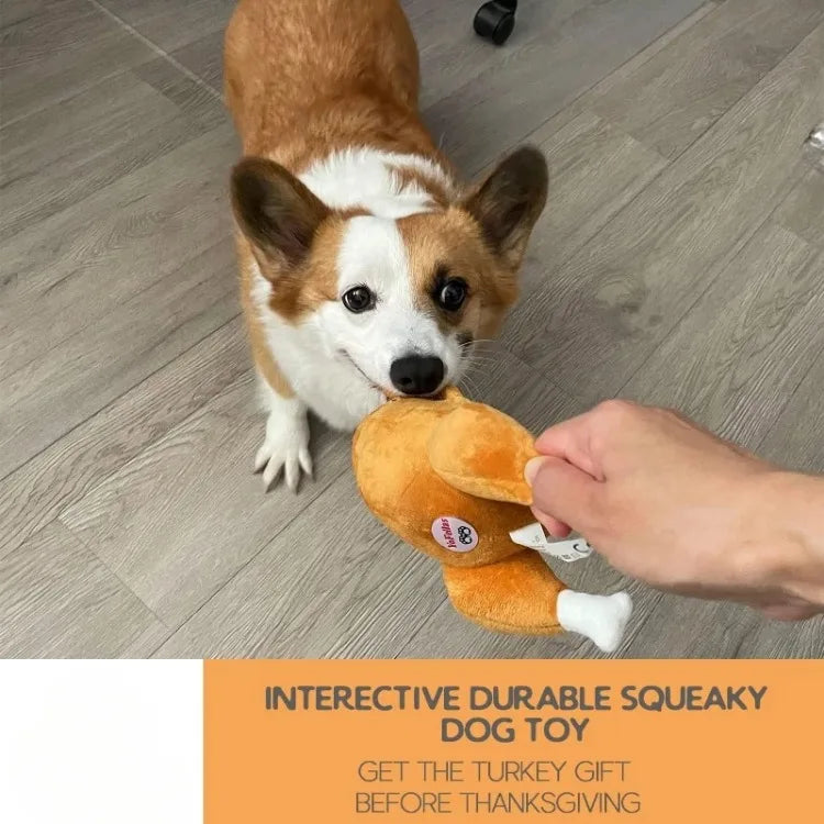 Thanksgiving Interactive