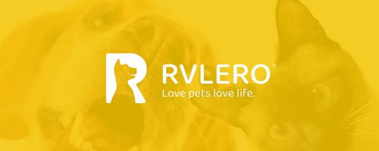 Thanksgiving Interactive