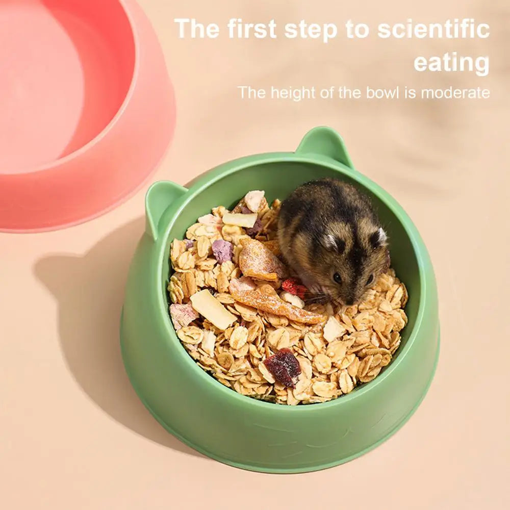 Hamster Feeding Bowl Hamster