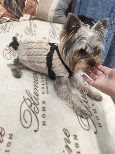 Knitted Clothes For Dogs Chihuahua