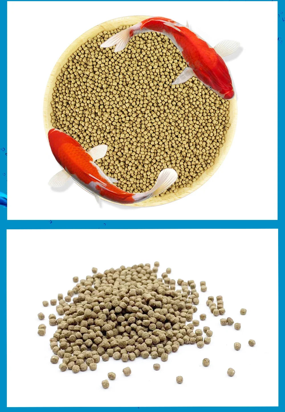 100g Tropical Ornamental Fish