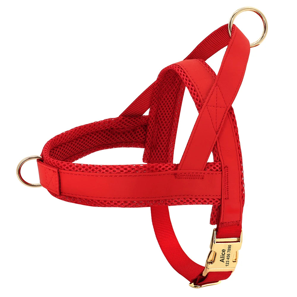 Personalized Large Dog Harness