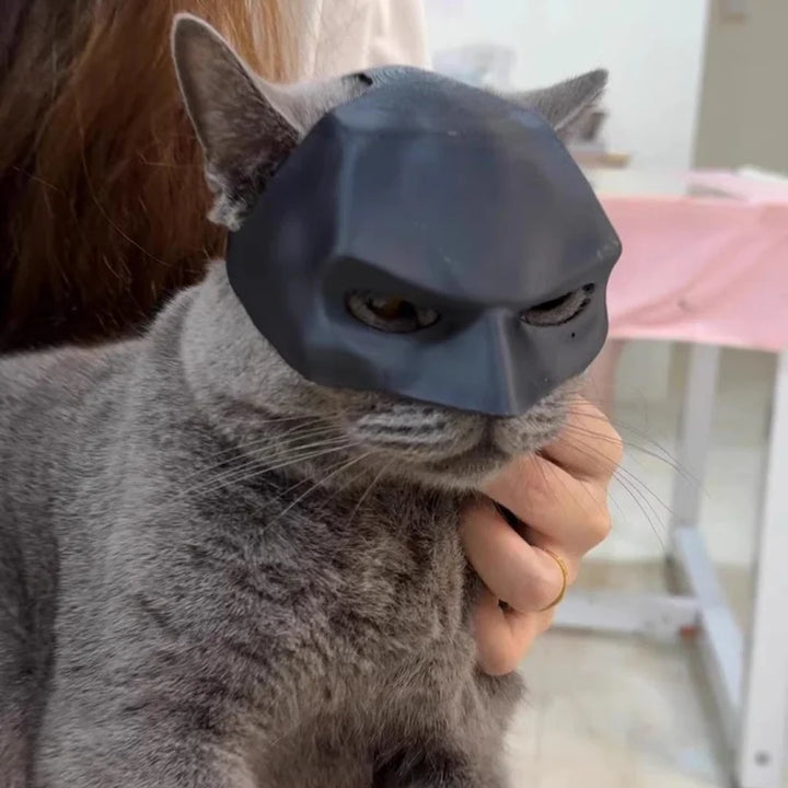 Tong Cat Bat Cool Man Mask Cat