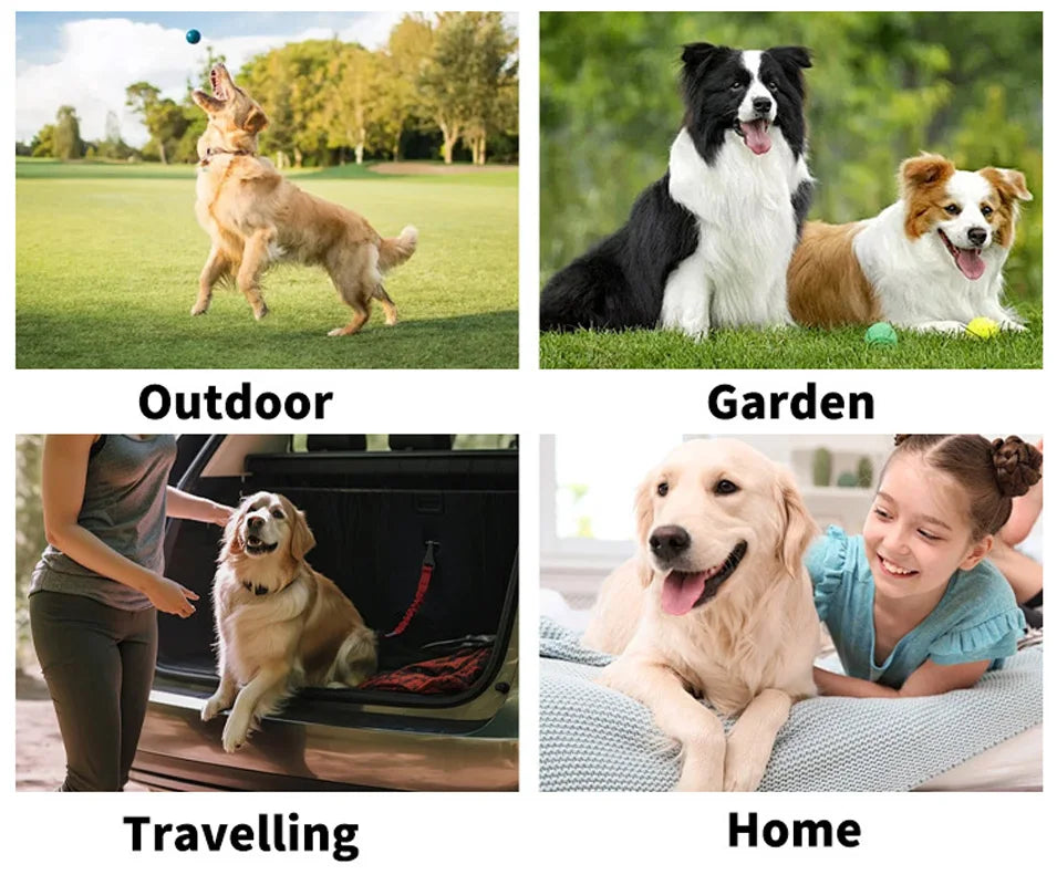 Pet supplies pet disposable gloves