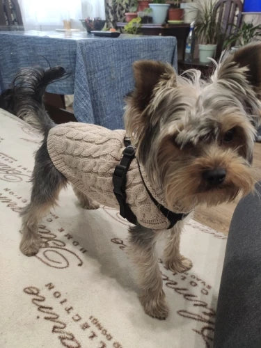 Knitted Clothes For Dogs Chihuahua