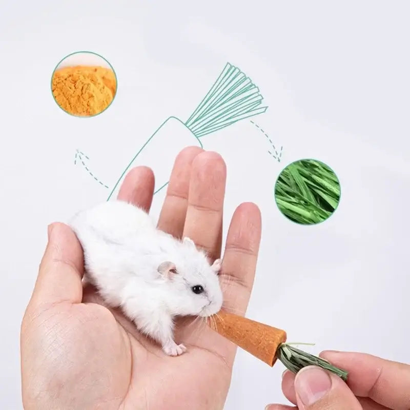 hamster chew treats