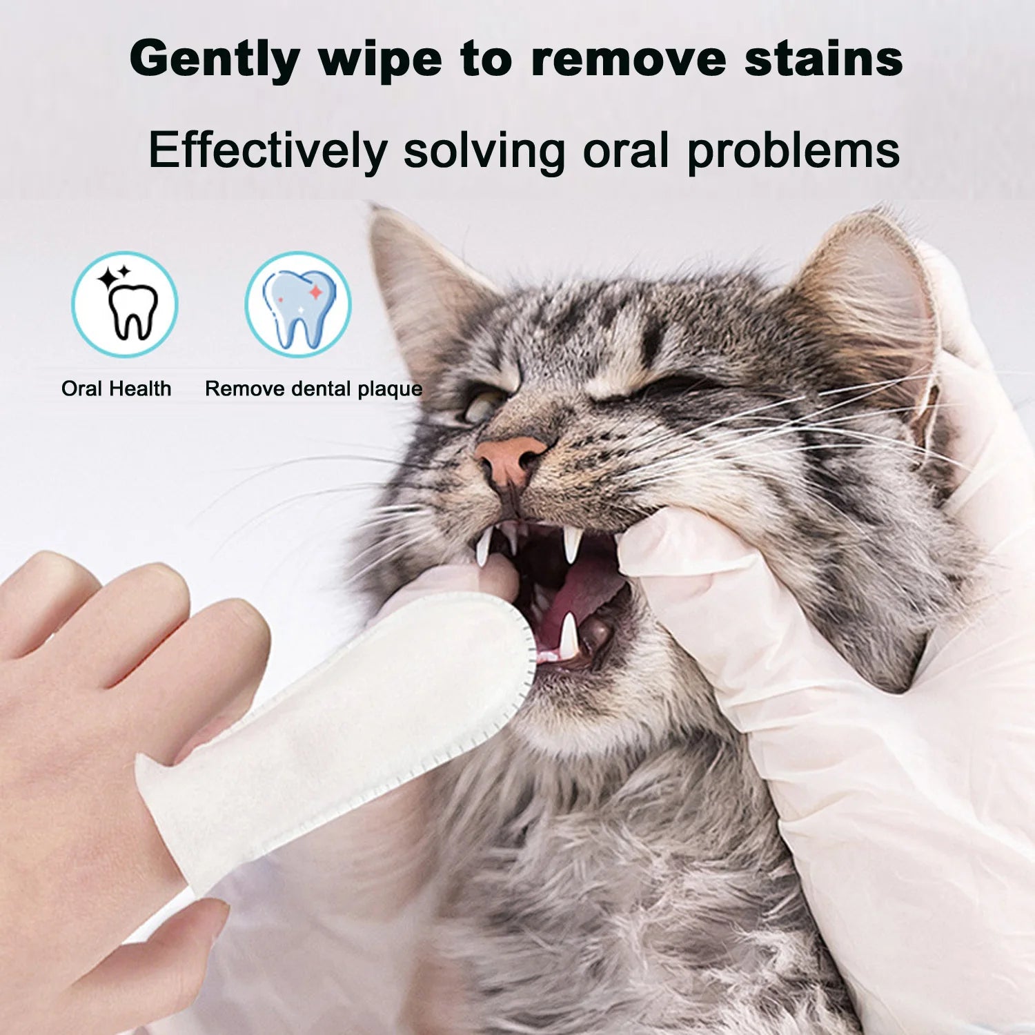 Pet Teeth Cleaning Products
