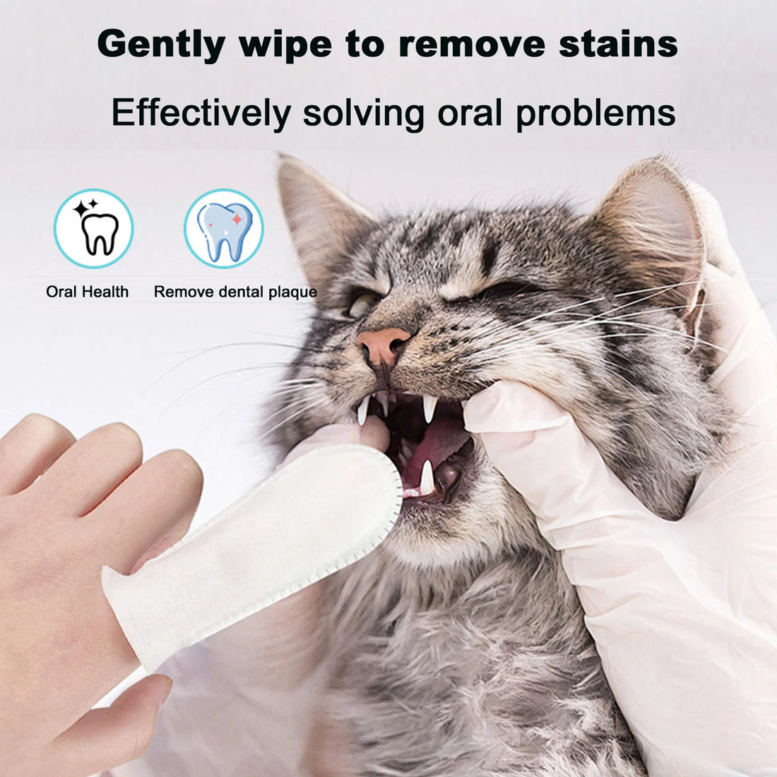 Pet Teeth Cleaning Products